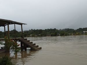 docordo-muelle-normal