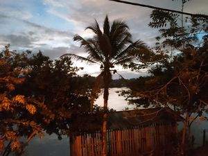 docordo-noche-normal